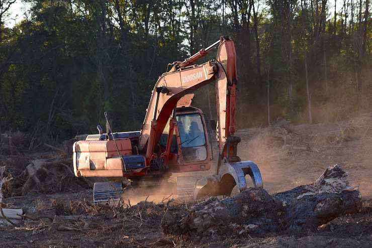 deforestazione uomo terra