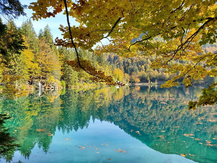 foliage laghi di fusine friuli