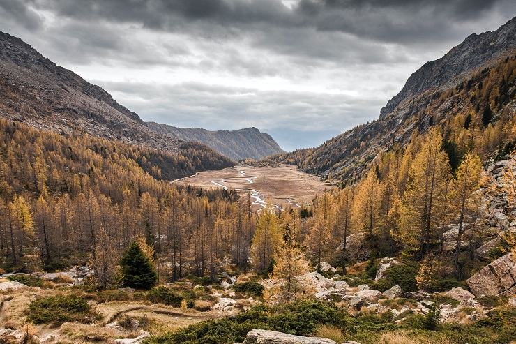 foliage val masino lombardia