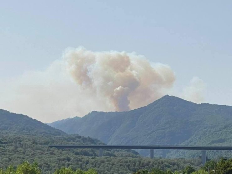 incendi parco aspromonte calabria