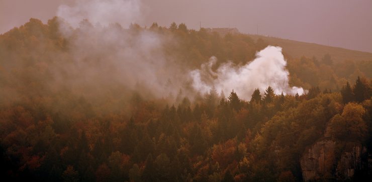 incendio bosco 