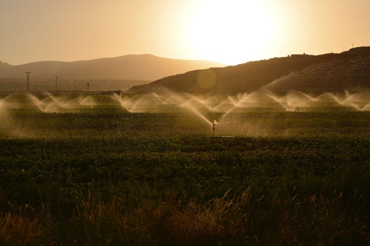 irrigazione campo acqua