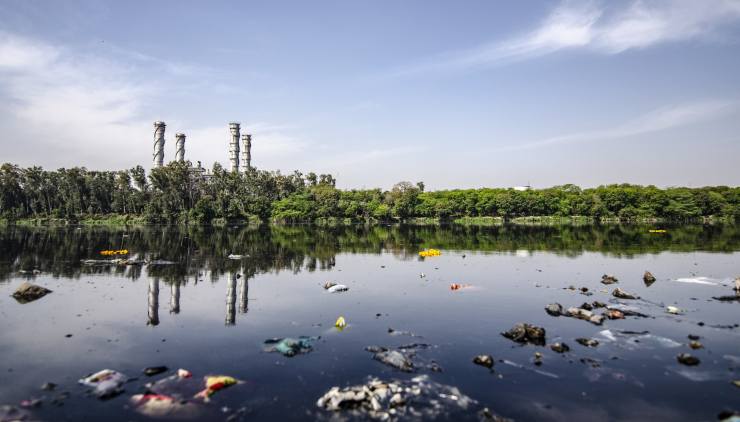 inquinamento lago reati ambientali