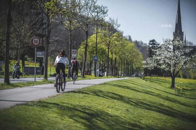 bicicletta verde città