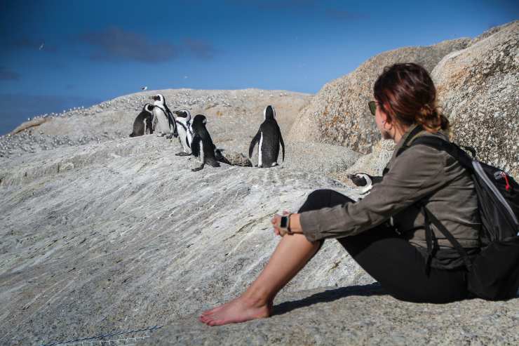 ecoturista pinguini