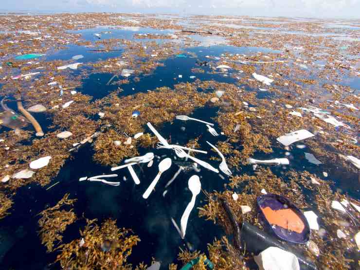 isola di plastica santo domingo