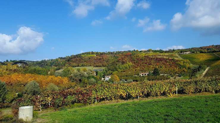 monferrato piemonte