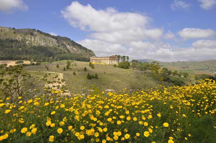 tempio di Segesta 