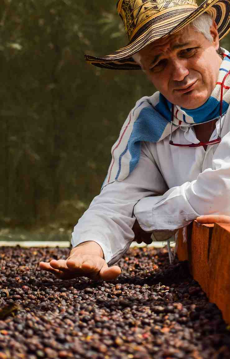 Lavoratore di caffè