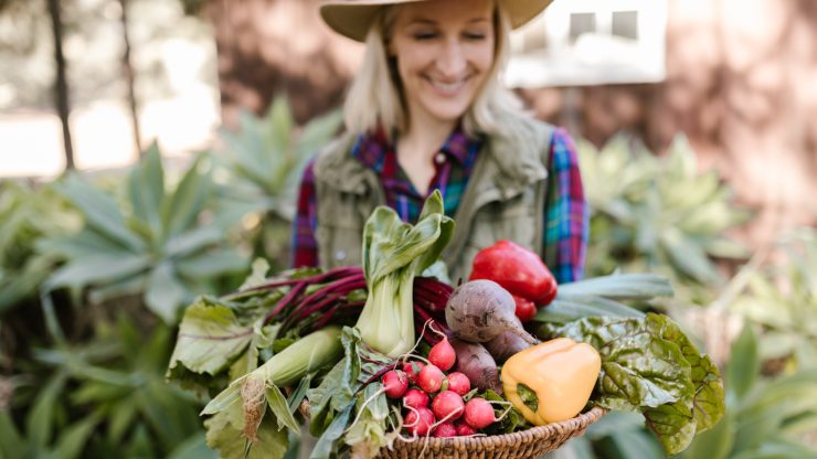 farmers market