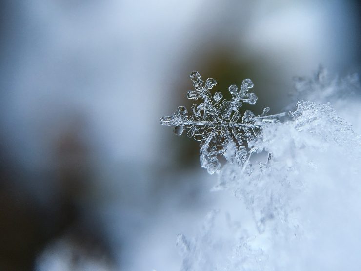 fiocco di neve