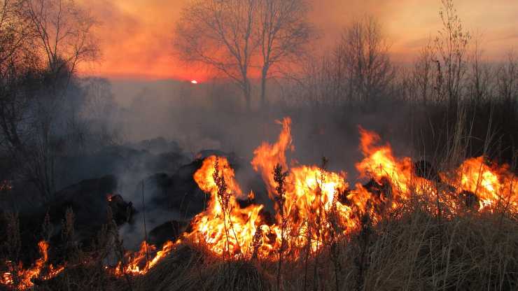 incendio bosco