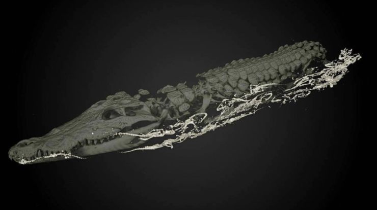 mummia coccodrillo 3D