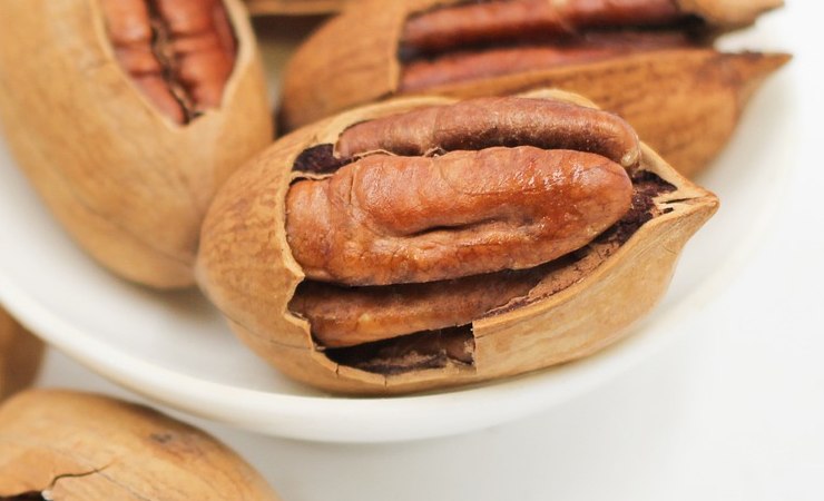 Noci Pecan: ecco i sorprendenti risultati della ricerca 