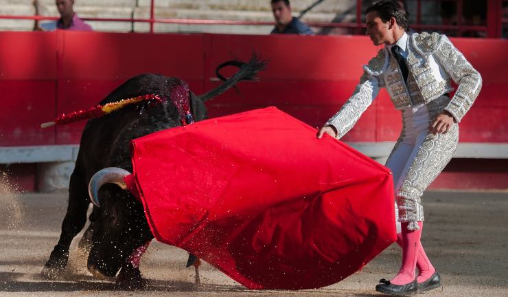 Corrida de toro 