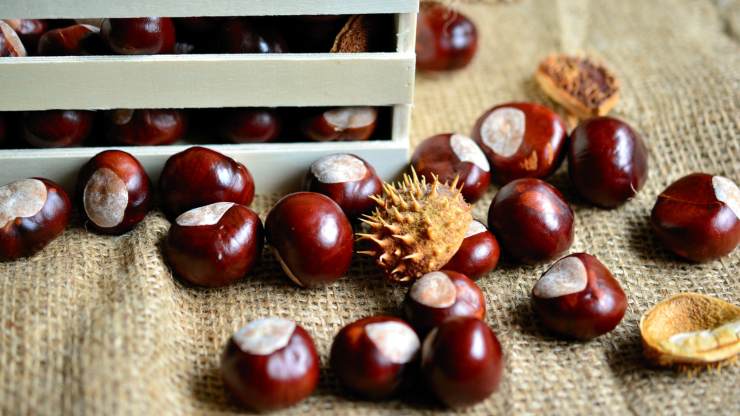 Castagne