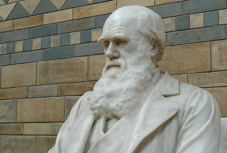 Darwin