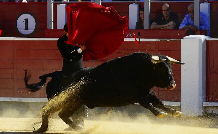 Corrida de toros 