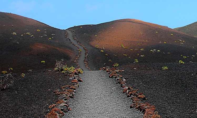 Canarie: 