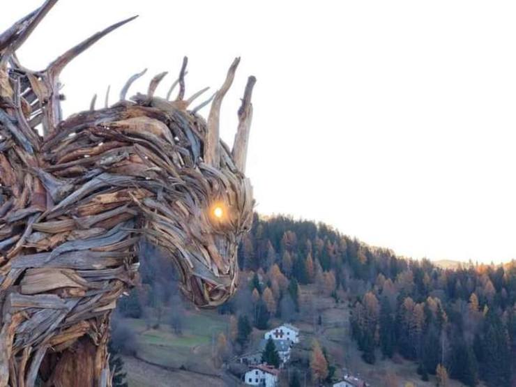 Drago foresta Lavarone 