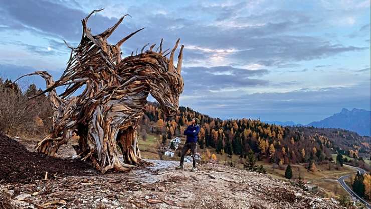 Drago foresta Lavarone 