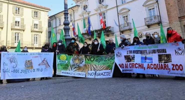 protesta animalisti circhi