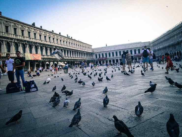 piazza san marco_25-2-22