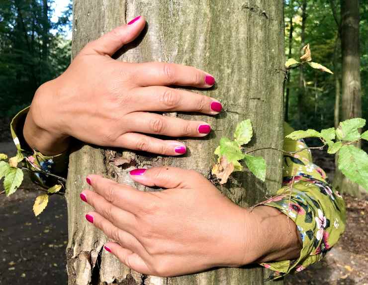 proteggere gli alberi