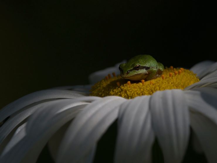 World Nature Photography Awards shayne kaye