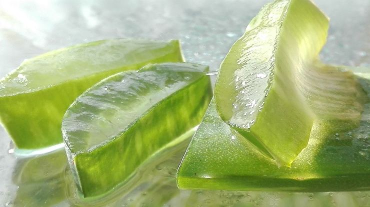 aloe vera gel_25-3-22