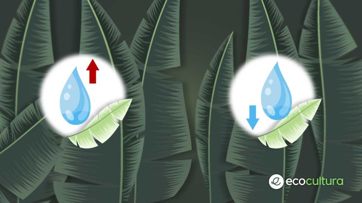 soluzione rompicapo temperatura acqua