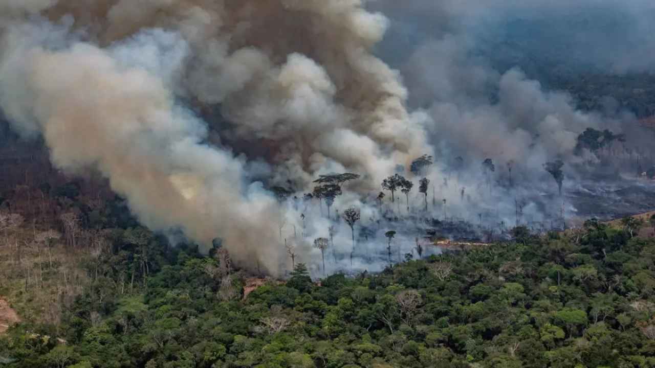 Associazioni ambientaliste