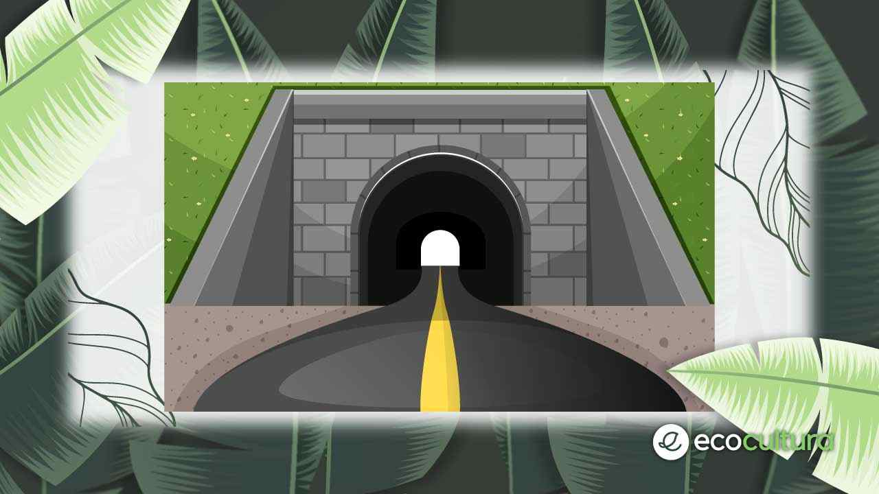 corsa salvezza tunnel