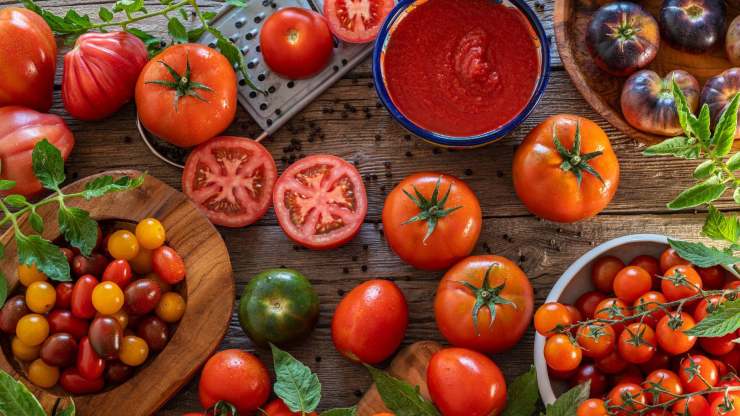 pomodoro scoperta shock verità