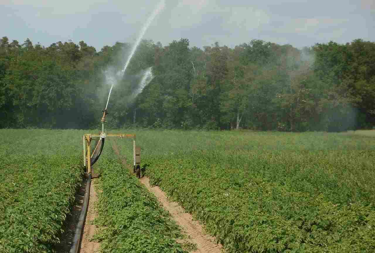 impianto irrigazione idea efficiente