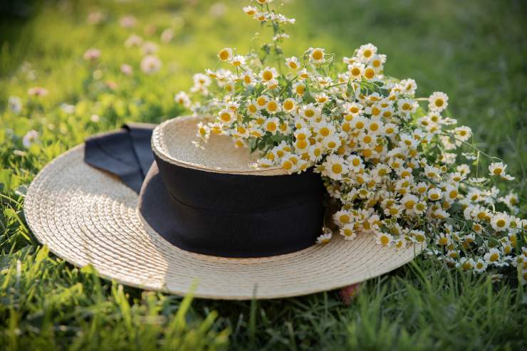 rimedio nonna e trucco bellezza e beauty routine impensabile 