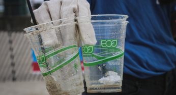 Greenwashing: l’inganno dei brand per apparire più green