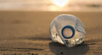 Nel turismo è vietato, ma tutti lo fanno | Danni incalcolabili