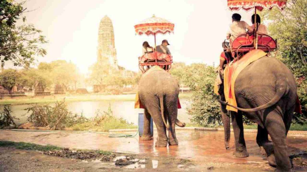 turismo-elefanti