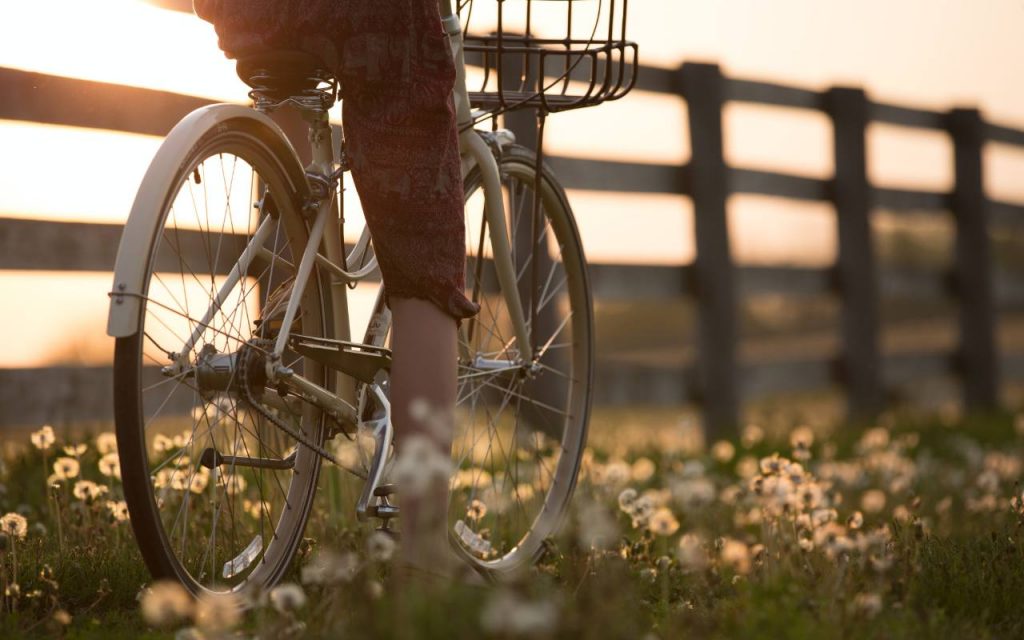 Bicicletta campo