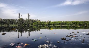 Reati ambientali in Italia, le associazioni contro l’improcedibilità