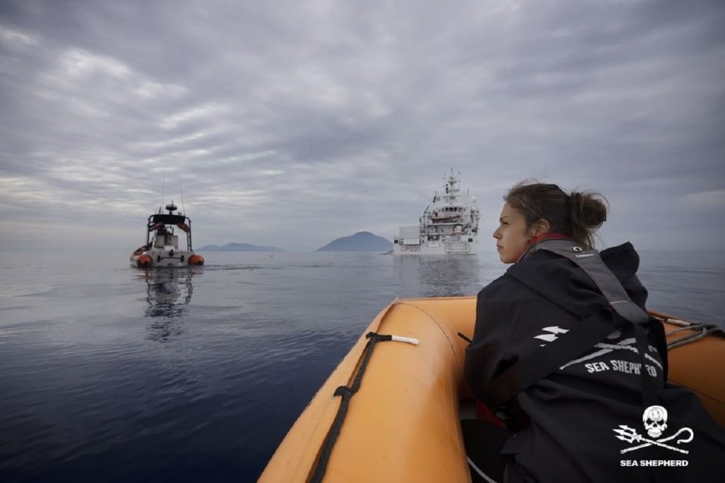 sea shepherd italia tutela mare