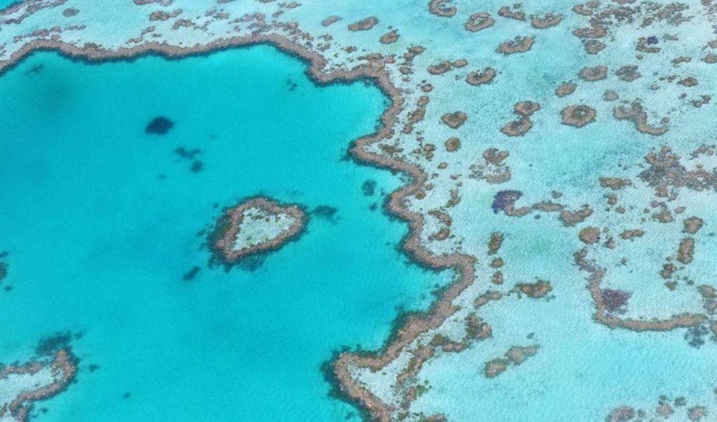 Barriera corallina, Australia