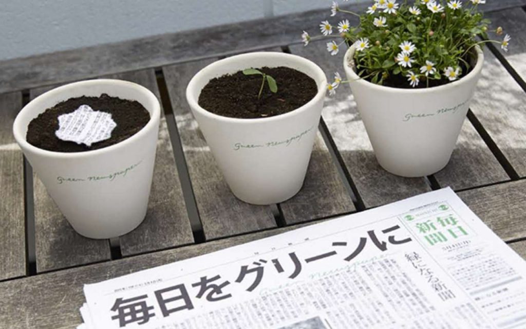 giornale ecologico