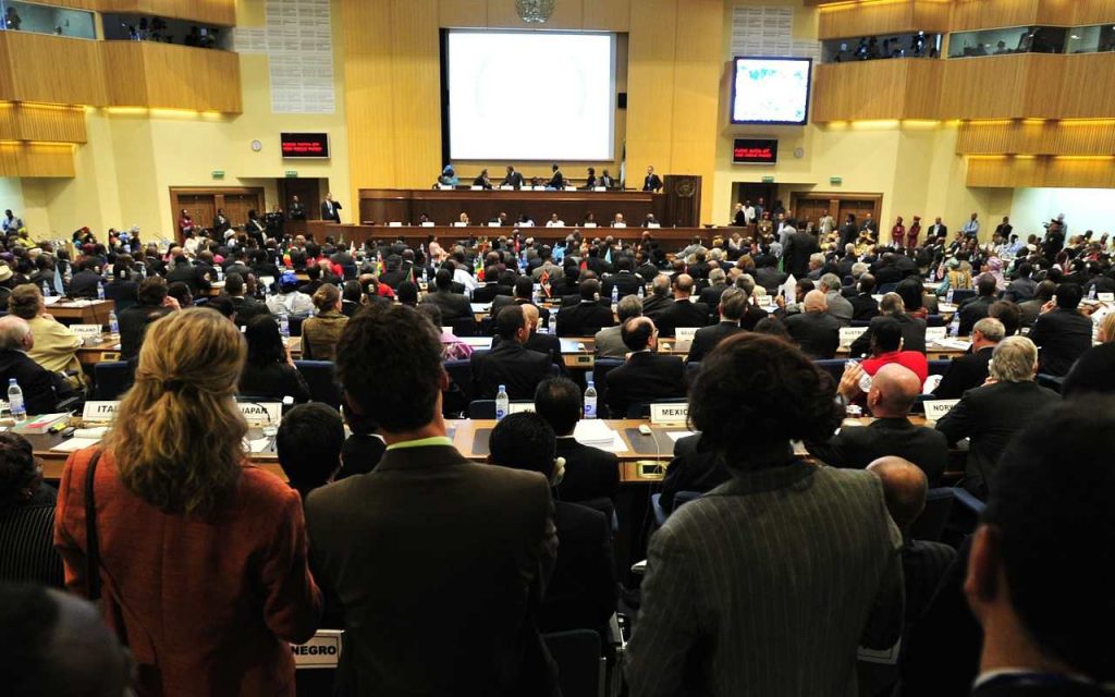 Cop15: importante conferenza avvenuta in Cina | Ecco di cosa si tratta