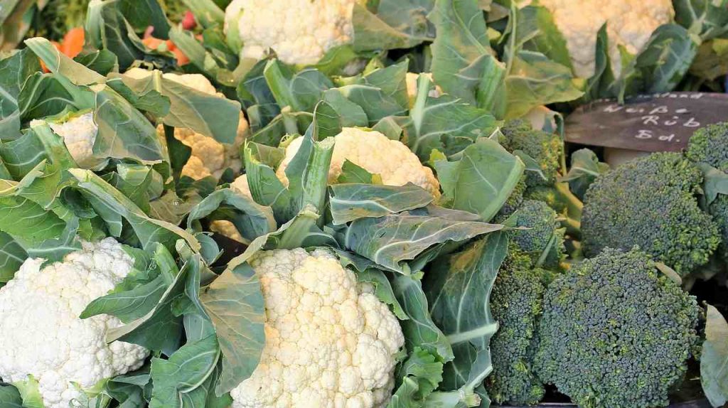 Cavolfiori e broccoli