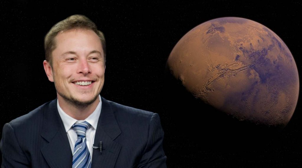 elon musk