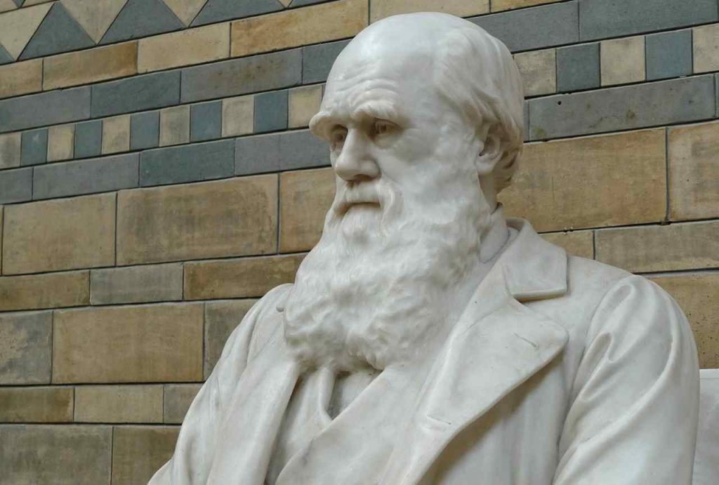 Darwin