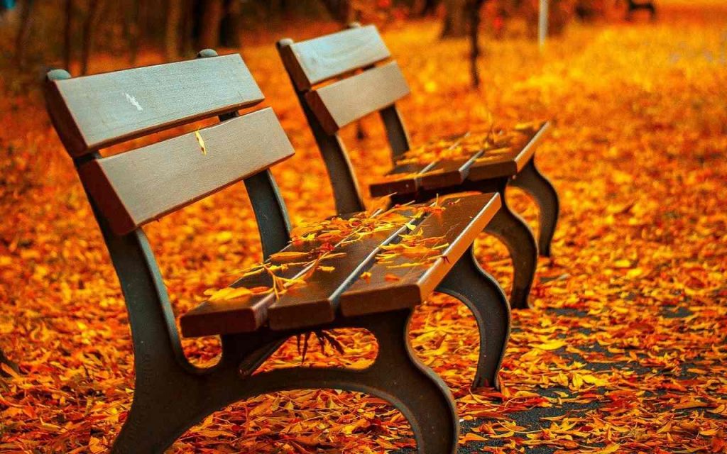 Turismo lento e colori dell'autunno: 5 luoghi in cui godere di tutto ciò