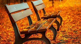 I 5 luoghi eccezionali in Italia, per gli amanti dell’autunno